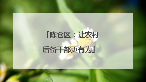陈仓区：让农村后备干部更有为