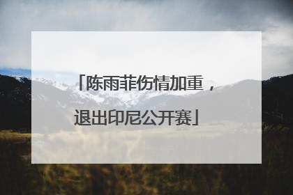 陈雨菲伤情加重，退出印尼公开赛