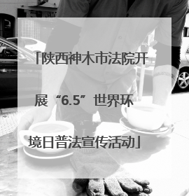陕西神木市法院开展“6.5”世界环境日普法宣传活动