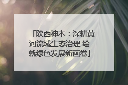 陕西神木：深耕黄河流域生态治理 绘就绿色发展新画卷