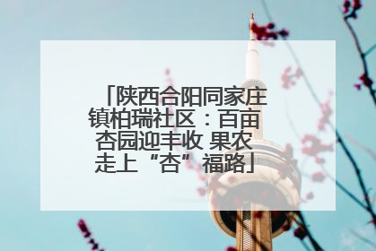 陕西合阳同家庄镇柏瑞社区：百亩杏园迎丰收 果农走上“杏”福路