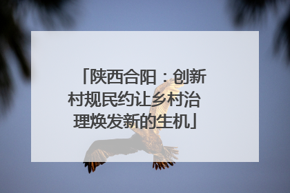 陕西合阳：创新村规民约让乡村治理焕发新的生机