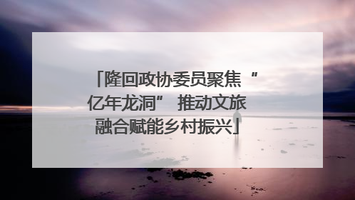 隆回政协委员聚焦“亿年龙洞” 推动文旅融合赋能乡村振兴
