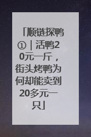 顺链探鸭①｜活鸭20元一斤，街头烤鸭为何却能卖到20多元一只