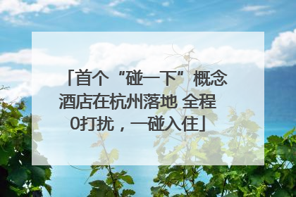 首个“碰一下”概念酒店在杭州落地 全程0打扰，一碰入住