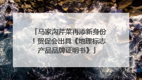 马家沟芹菜再添新身份！贸促会出具《地理标志产品品牌证明书》