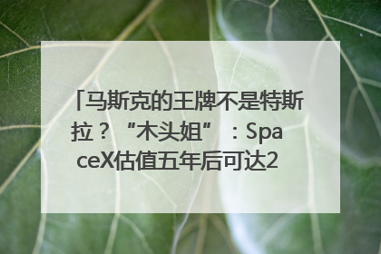 马斯克的王牌不是特斯拉？“木头姐”：SpaceX估值五年后可达2.5万亿美元！