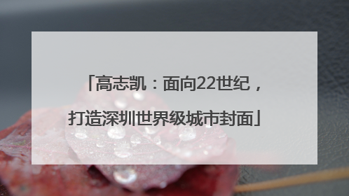 高志凯：面向22世纪，打造深圳世界级城市封面