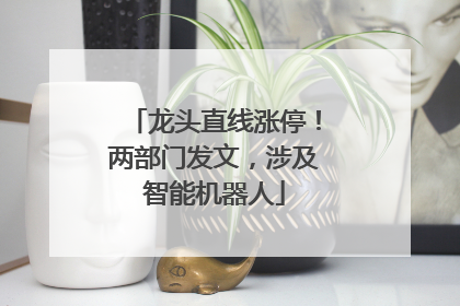 龙头直线涨停！两部门发文，涉及智能机器人