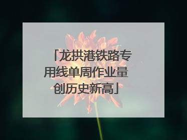 龙拱港铁路专用线单周作业量创历史新高