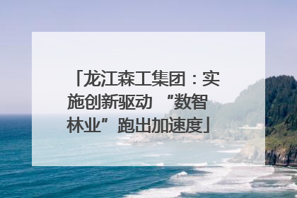龙江森工集团：实施创新驱动 “数智林业”跑出加速度