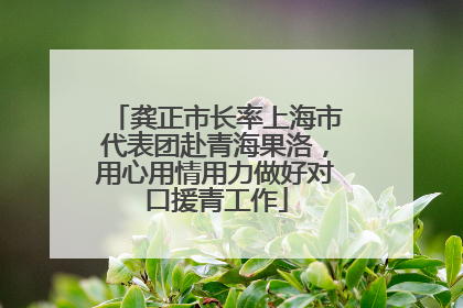 龚正市长率上海市代表团赴青海果洛，用心用情用力做好对口援青工作