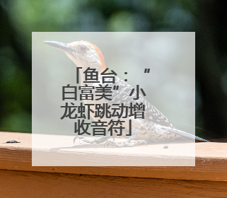 鱼台：“白富美”小龙虾跳动增收音符