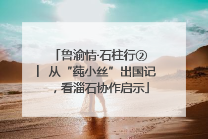 鲁渝情·石柱行② ︳从“莼小丝”出国记，看淄石协作启示