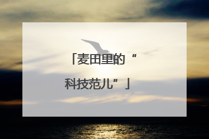麦田里的“科技范儿”