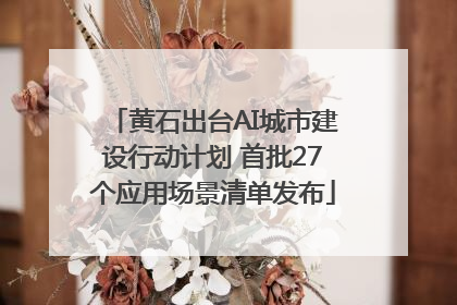 黄石出台AI城市建设行动计划 首批27个应用场景清单发布