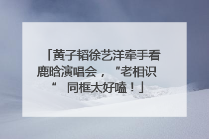 黄子韬徐艺洋牵手看鹿晗演唱会，“老相识” 同框太好嗑！