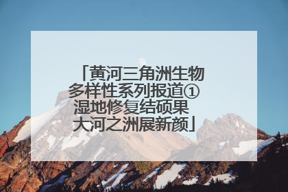黄河三角洲生物多样性系列报道①湿地修复结硕果 大河之洲展新颜
