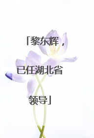 黎东辉，已任湖北省领导