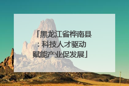 黑龙江省桦南县：科技人才驱动 赋能产业促发展