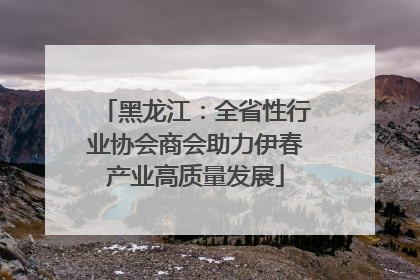 黑龙江：全省性行业协会商会助力伊春产业高质量发展