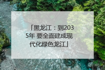 黑龙江：到2035年 要全面建成现代化绿色龙江