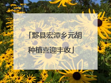 黟县宏潭乡元胡种植喜迎丰收