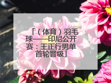 （体育）羽毛球——印尼公开赛：王正行男单首轮晋级