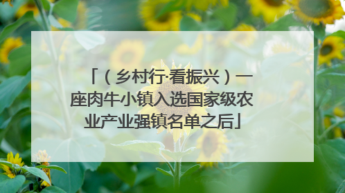 （乡村行·看振兴）一座肉牛小镇入选国家级农业产业强镇名单之后