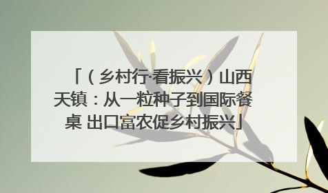 （乡村行·看振兴）山西天镇：从一粒种子到国际餐桌 出口富农促乡村振兴