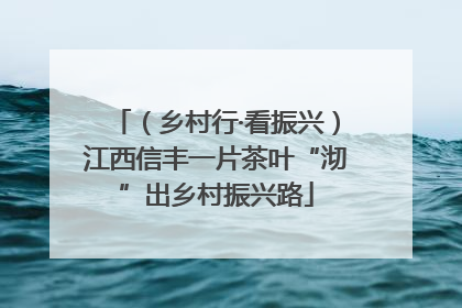 （乡村行·看振兴）江西信丰一片茶叶“沏”出乡村振兴路