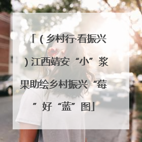 （乡村行·看振兴）江西靖安“小”浆果助绘乡村振兴“莓”好“蓝”图
