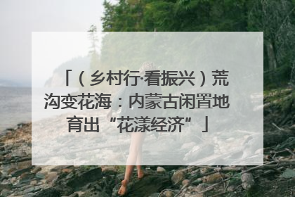 （乡村行·看振兴）荒沟变花海：内蒙古闲置地育出“花漾经济”