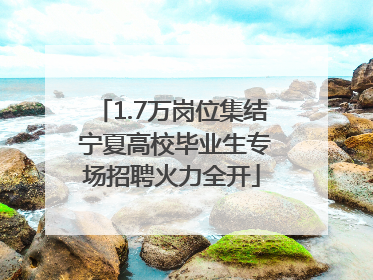 1.7万岗位集结 宁夏高校毕业生专场招聘火力全开