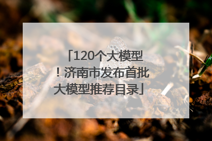 120个大模型！济南市发布首批大模型推荐目录