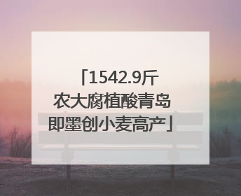 1542.9斤 农大腐植酸青岛即墨创小麦高产