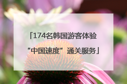 174名韩国游客体验“中国速度”通关服务