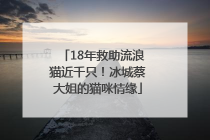 18年救助流浪猫近千只！冰城蔡大姐的猫咪情缘