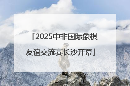 2025中非国际象棋友谊交流赛长沙开幕