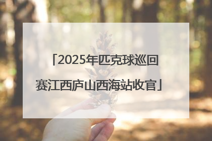 2025年匹克球巡回赛江西庐山西海站收官