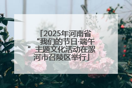 2025年河南省“我们的节日·端午”主题文化活动在漯河市召陵区举行