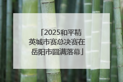 2025和平精英城市赛总决赛在岳阳市圆满落幕