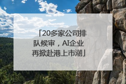 20多家公司排队候审，AI企业再掀赴港上市潮