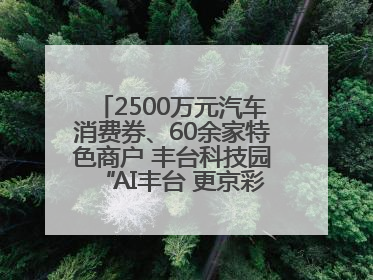 2500万元汽车消费券、60余家特色商户 丰台科技园“AI丰台 更京彩”未来玩家市集活动正式开幕