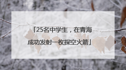 25名中学生，在青海成功发射一枚探空火箭