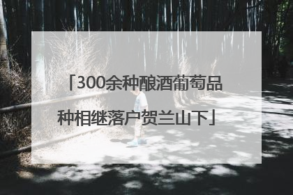 300余种酿酒葡萄品种相继落户贺兰山下