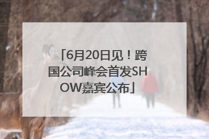 6月20日见！跨国公司峰会首发SHOW嘉宾公布