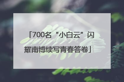 700名“小白云”闪耀南博续写青春答卷