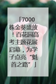 7000株金葵盛放！百花园高考主题花展启幕，为学子点亮“魁首之路”