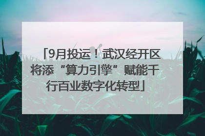 9月投运！武汉经开区将添“算力引擎”赋能千行百业数字化转型